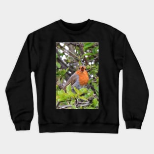 Let Me Do The Talking Crewneck Sweatshirt